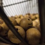 Consejos para compartir la lotería lomug loteria nacional 150x150 - Consejos para compartir la lotería