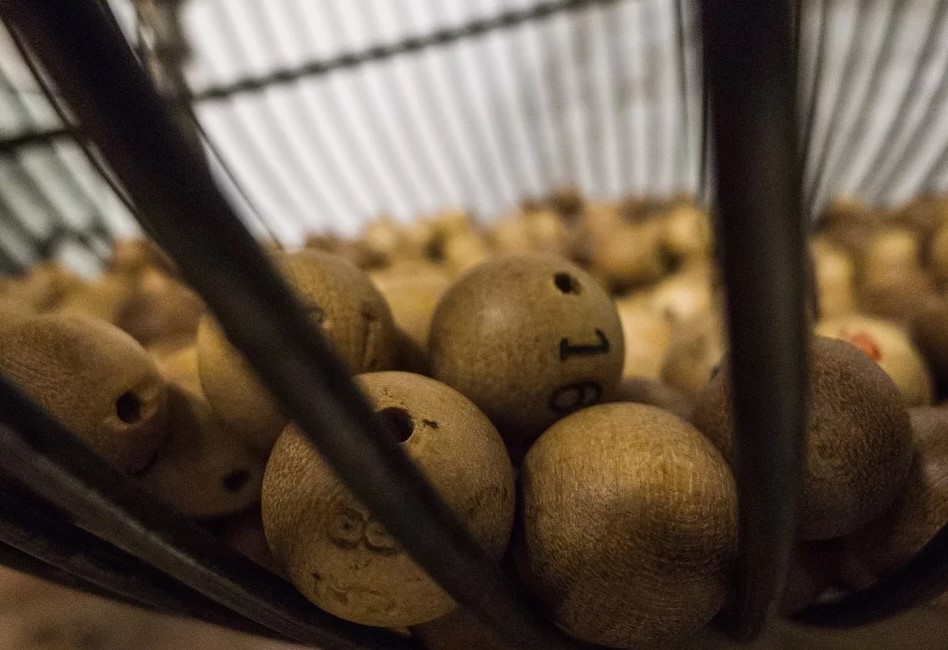 Consejos para compartir la lotería lomug loteria nacional - Consejos para compartir la lotería