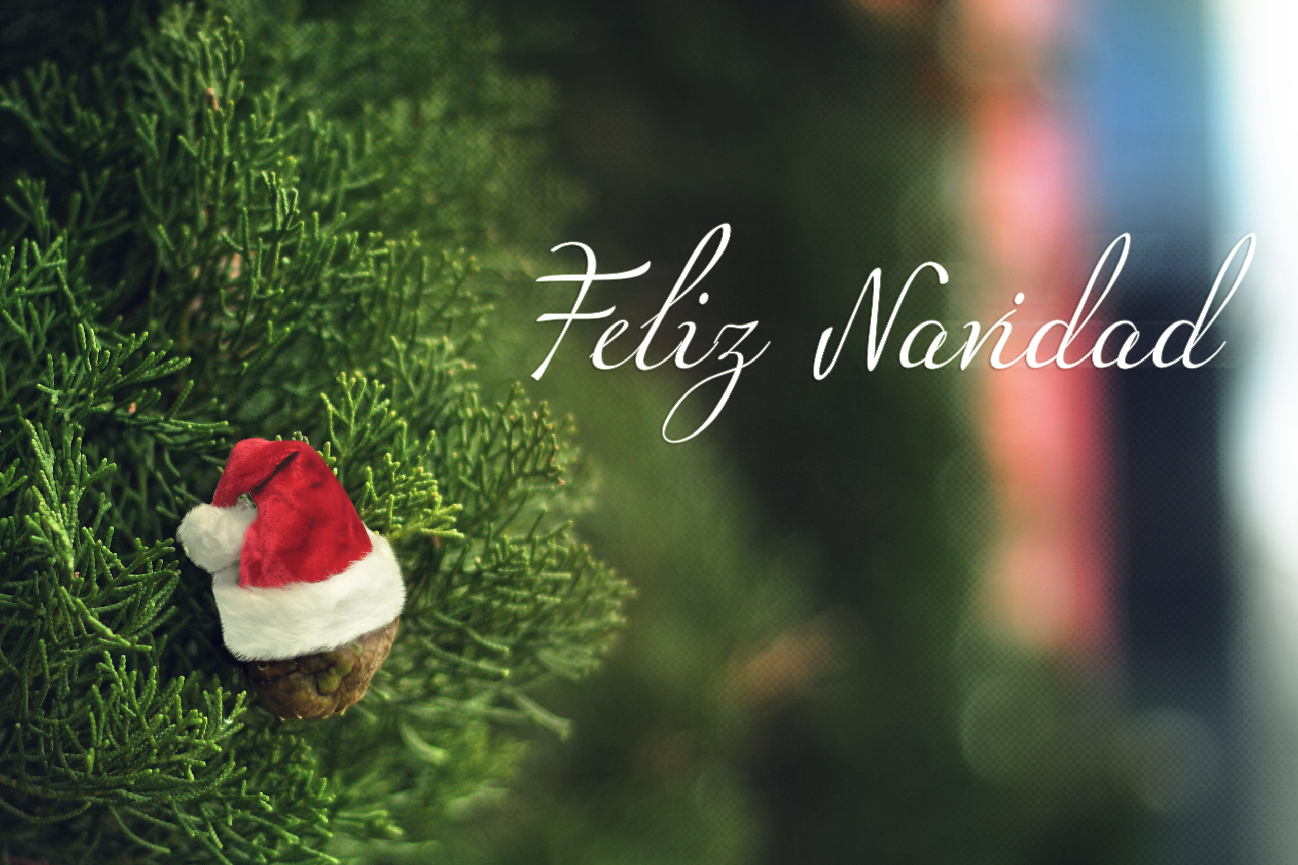 LOMUG-feliz-navidad FELIZ NAVIDAD LOMUG