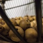 lomug-décimo-compartido compartir décimo loteria