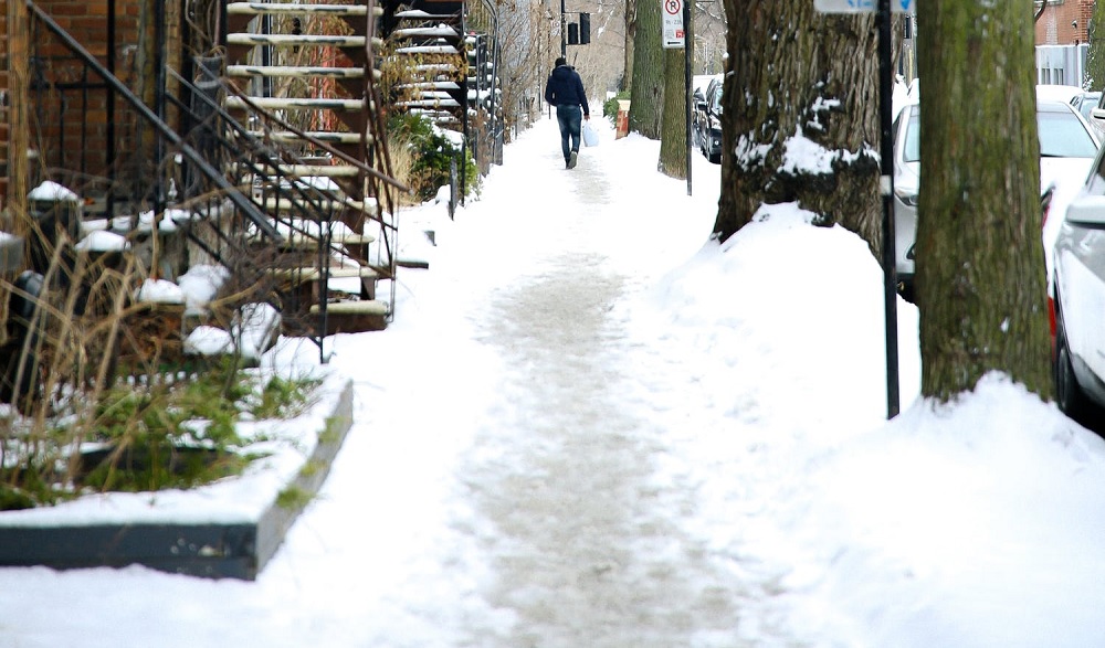 LOMUG-filomena-daños-seguro filomena daños seguros
